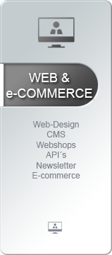 Web und e-Commerce